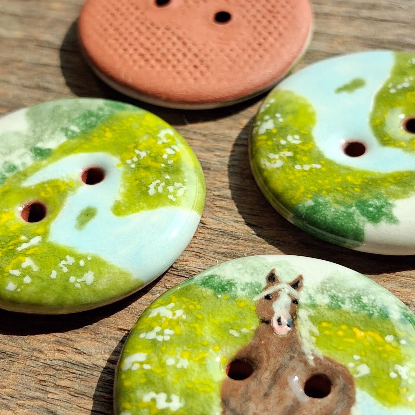 ‘Yellow Meadow Mustang’ 1-1/16” one-of-a-kind 4-pack