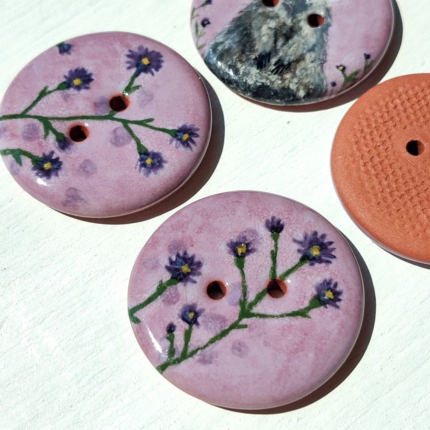 ‘Aster Patch Racoon’ 1-1/16” one-of-a-kind 4-pack
