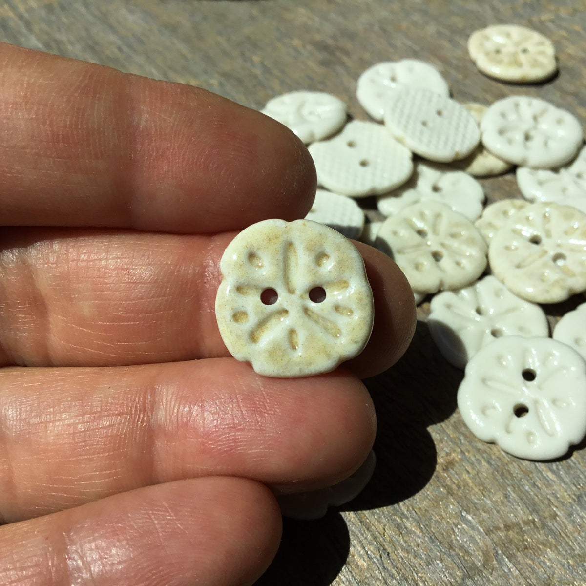 Sand Dollar Porcelain Button 11/16”