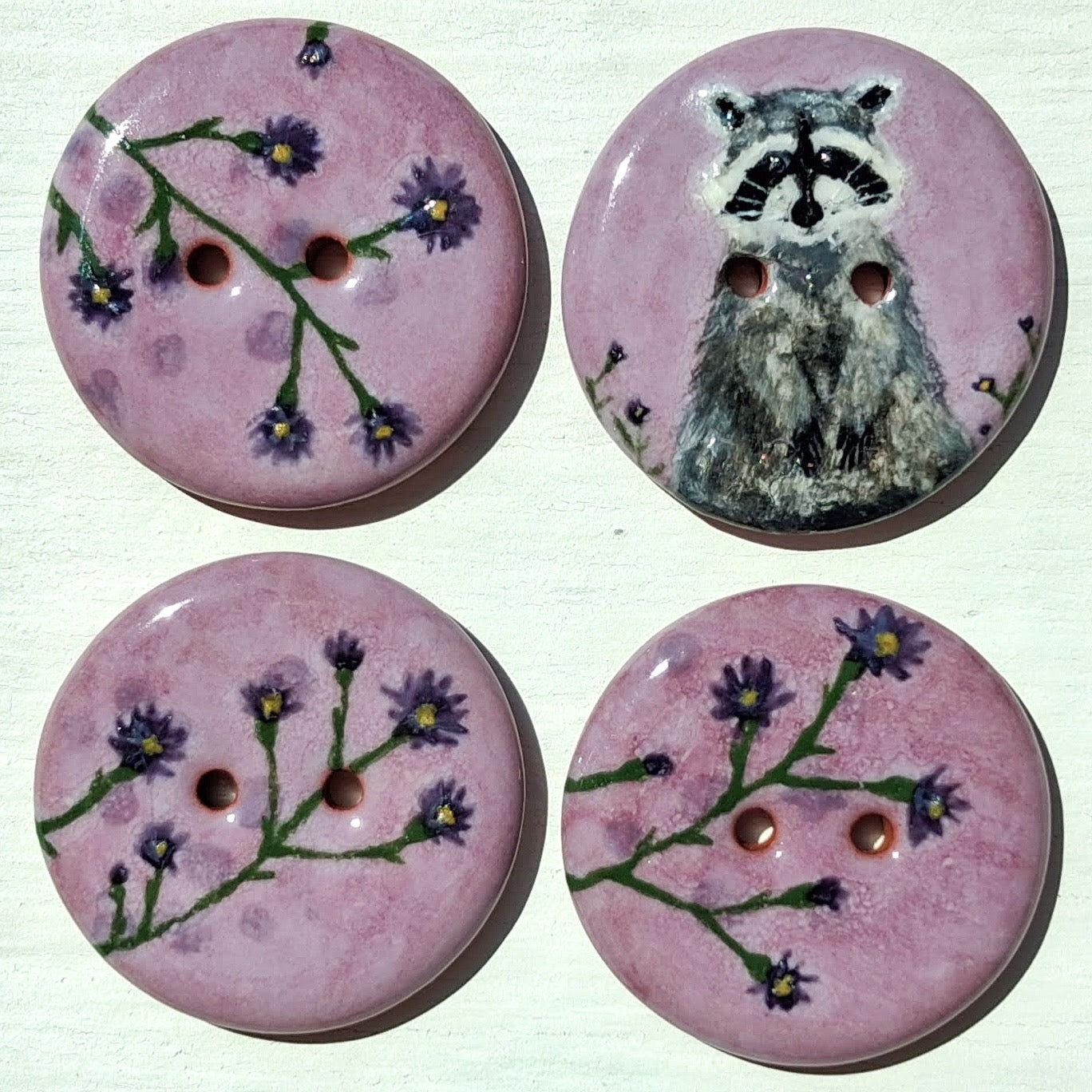 ‘Aster Patch Racoon’ 1-1/16” one-of-a-kind 4-pack