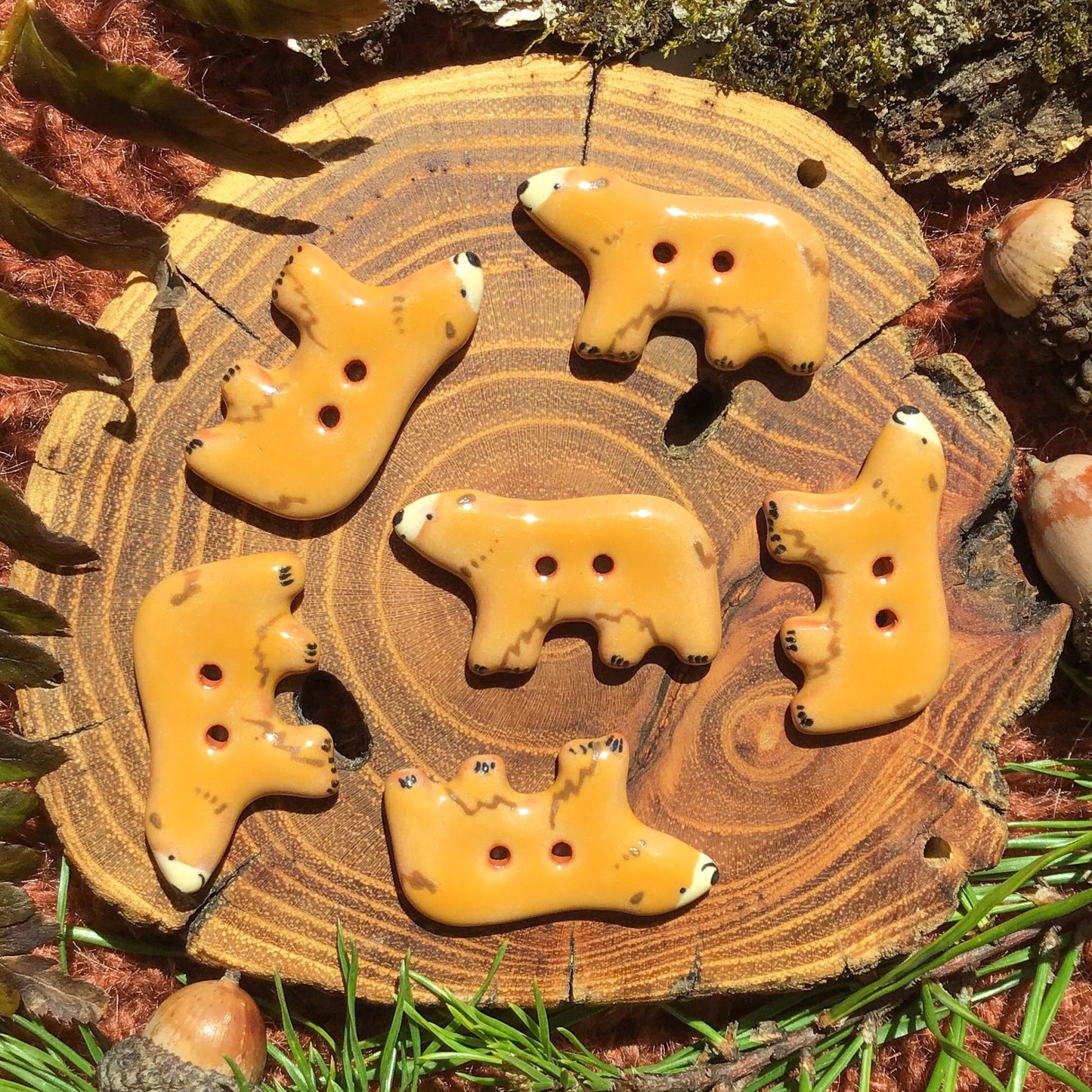 Bear Buttons  11/16" x 1-1/4”