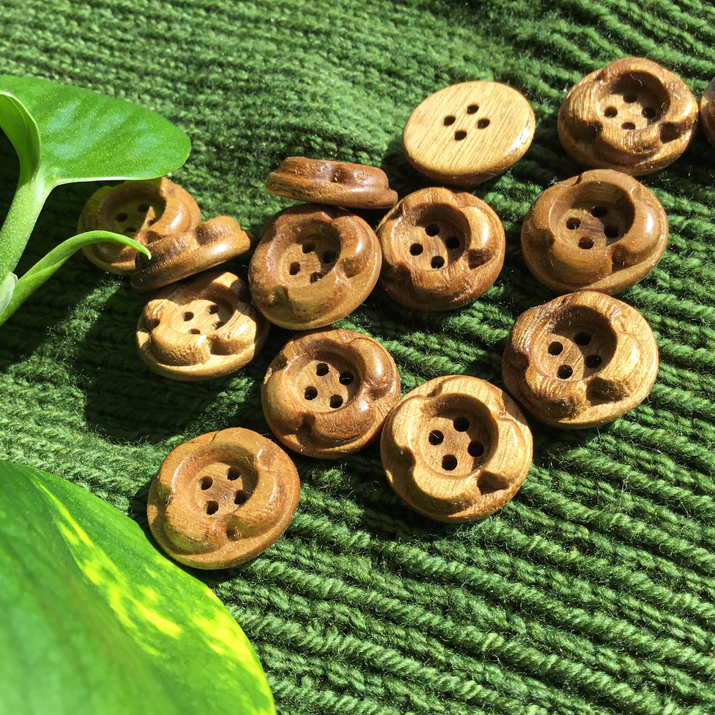 ‘Forest Flowers’ Sassafras Wood Buttons  3/4”