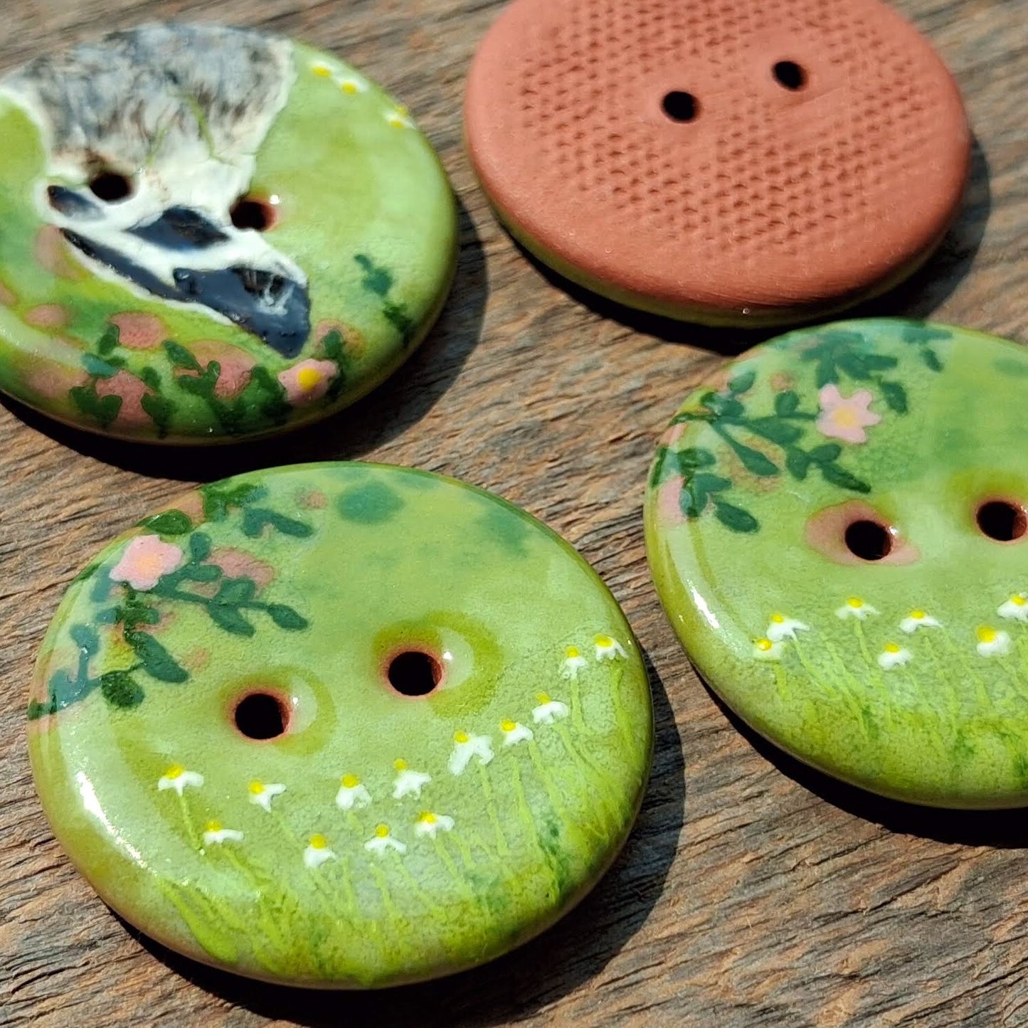 ‘Early Rose Badger’ 1-1/16” one-of-a-kind 4-pack