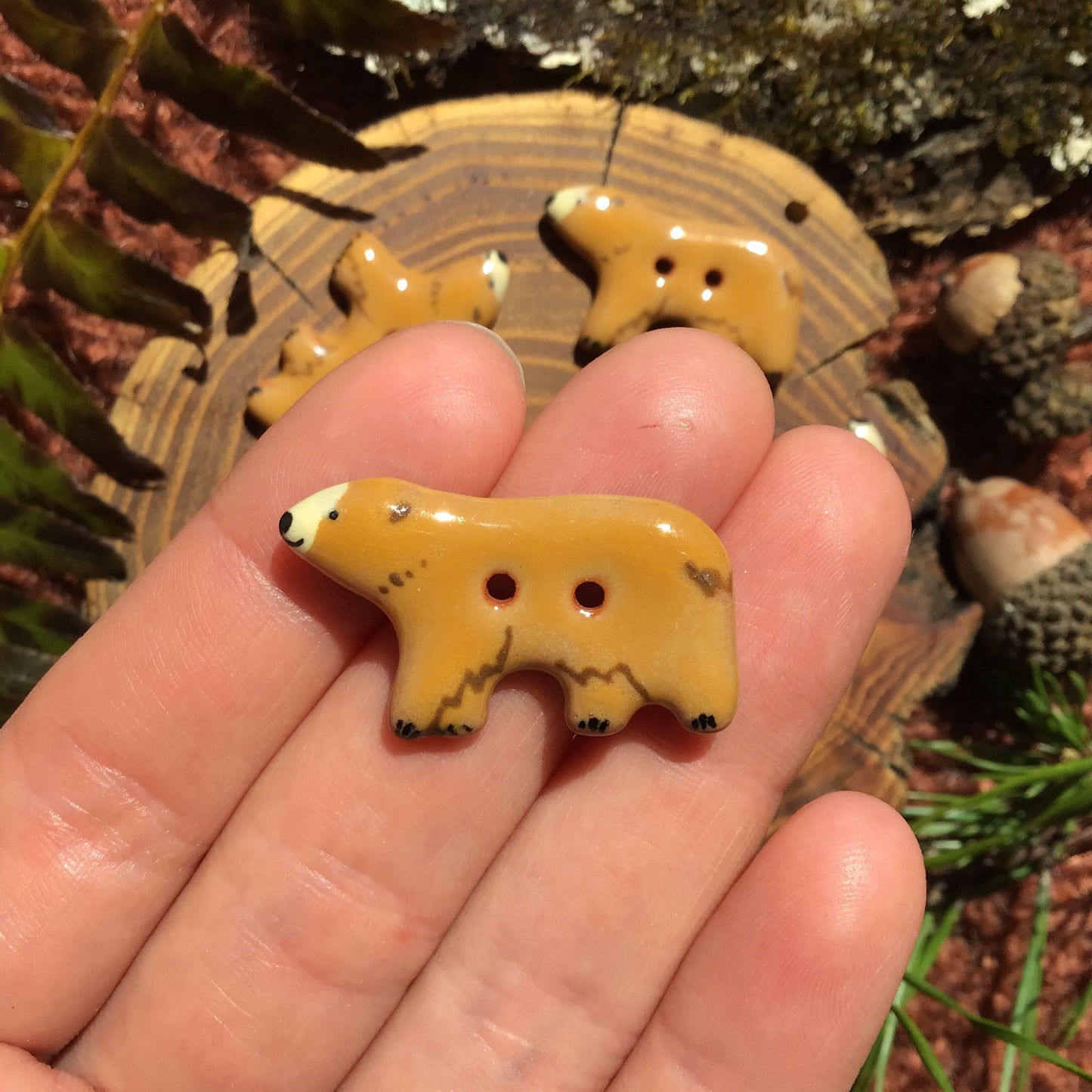 Bear Buttons  11/16" x 1-1/4”