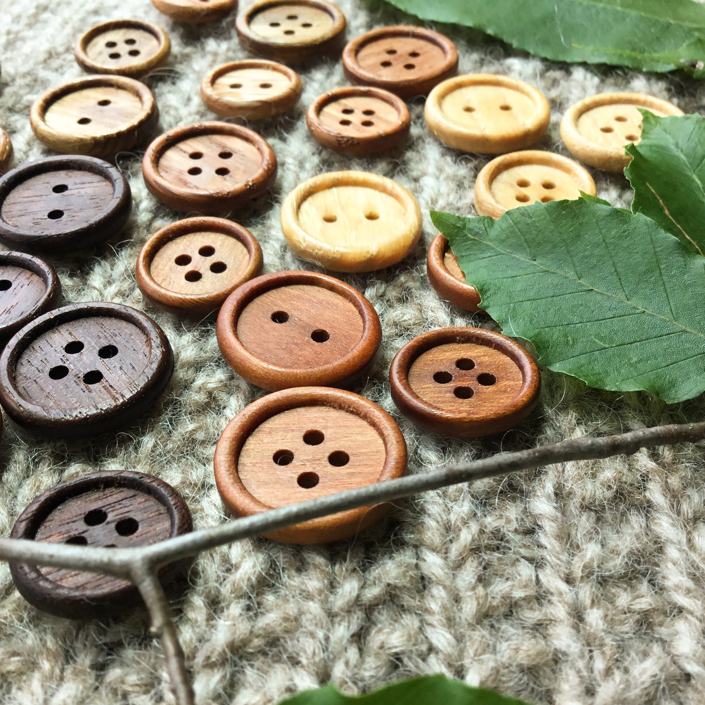 New Style! Bead Rim Wood Buttons