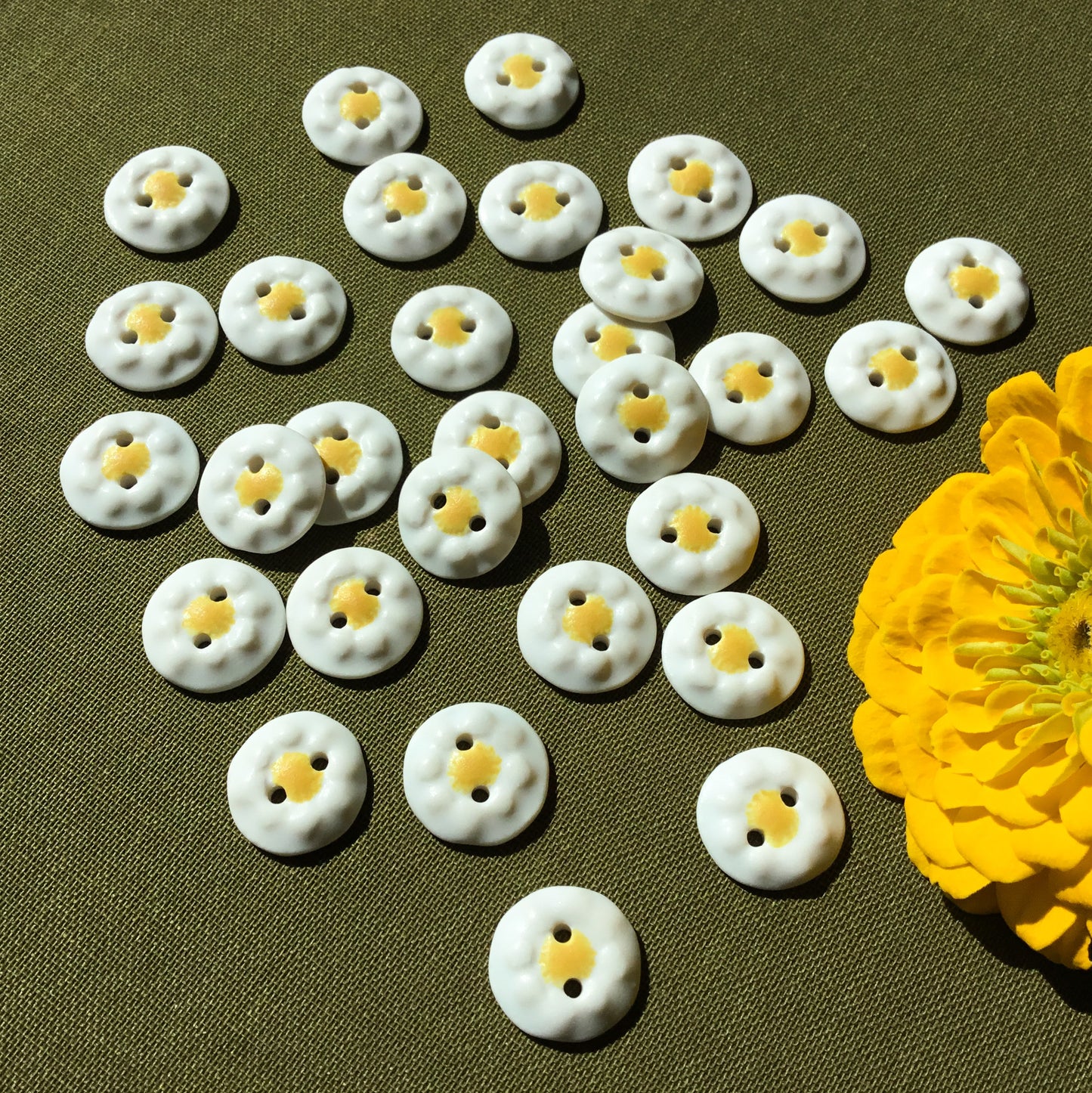 Chamomile Flower Porcelain Button  5/8"