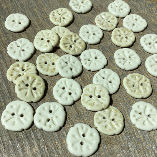 Sand Dollar Porcelain Button  11/16”
