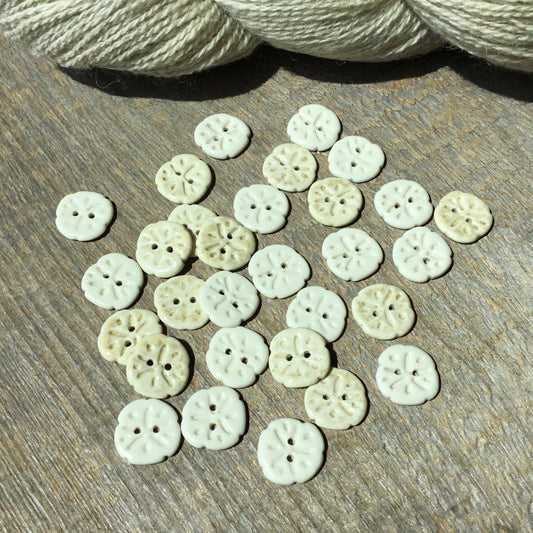Sand Dollar Porcelain Button  11/16”